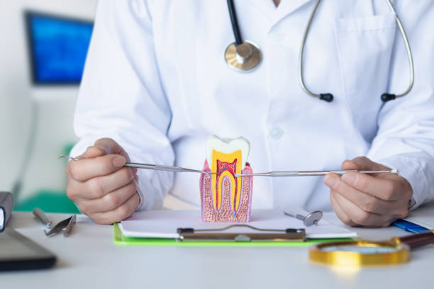 Best 24-Hour Emergency Dental Care in Johnson Lane, NV